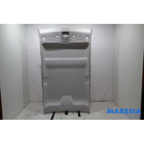 Citroen - C4 Cactus - Headlining