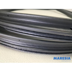 Citroen - C4 Grand Picasso - Front door seal 4-door, right