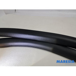 Citroen - C4 Grand Picasso - Front door seal 4-door, right