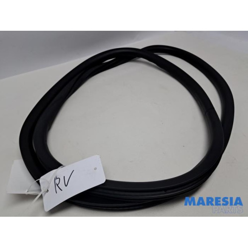 Citroen - C4 Grand Picasso - Front door seal 4-door, right