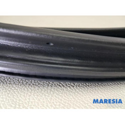 Citroen - C4 Grand Picasso - Portierrubber 4Deurs rechts-achter