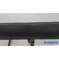 Citroen - C4 Cactus - Einstiegleiste links