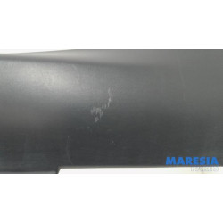 Citroen - C4 Cactus - Einstiegleiste links