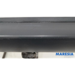 Citroen - C4 Cactus - Einstiegleiste links