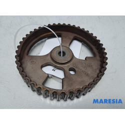 Citroen - DS4 - Nokkenas Tandwiel