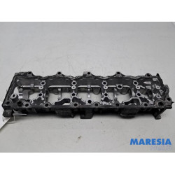 Citroen - DS4 - Nokkenashuis