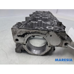 Citroen - DS4 - Nokkenashuis