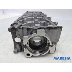 Citroen - DS4 - Nokkenashuis