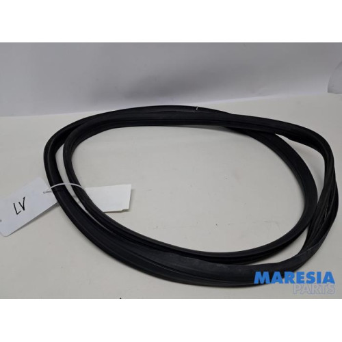 Peugeot - 107 - Türgummi 4-türig links vorne