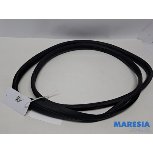 Peugeot - 107 - Front door seal 4-door, right