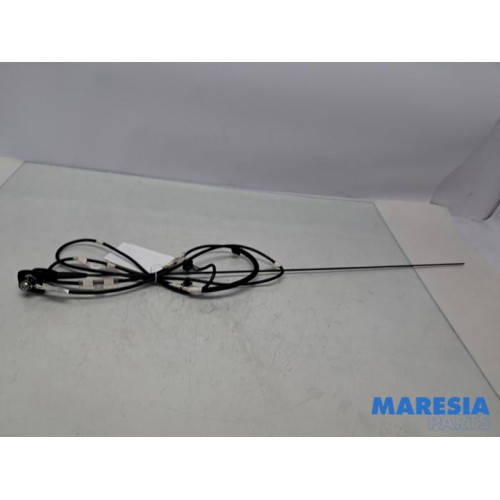 Peugeot - 107 - Antenna