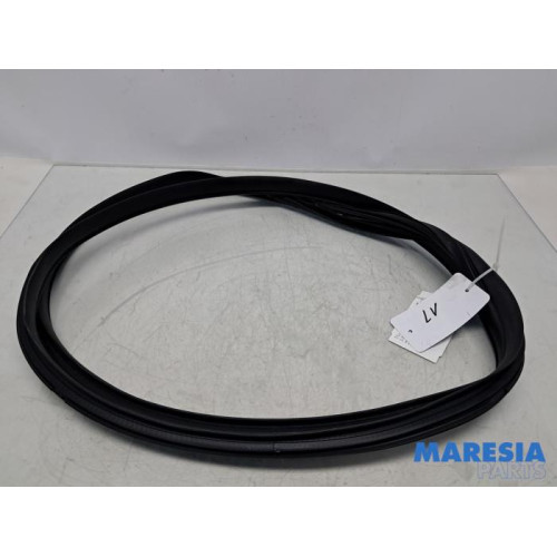 Peugeot - 108 - Front door seal 4-door, left