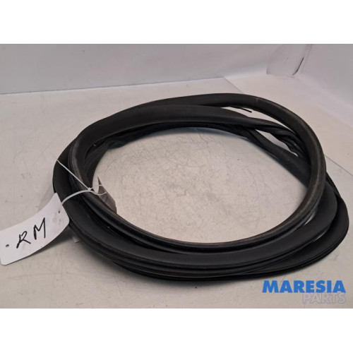 Opel - Vivaro - Schiebetür Gummi rechts