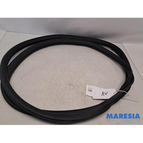 Opel - Vivaro - Türgummi 2-türig rechts