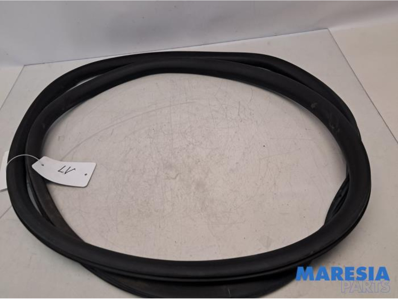 Opel - Vivaro - Türgummi 2-türig links