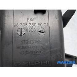 Peugeot - 308 - Carbon filter