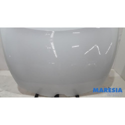 Renault - Clio - Motorhaube