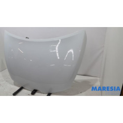 Renault - Clio - Motorhaube