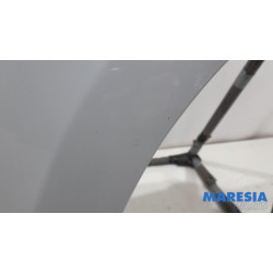 Renault - Clio - Kotflügel rechts vorne