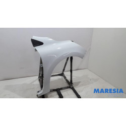 Renault - Clio - Kotflügel rechts vorne