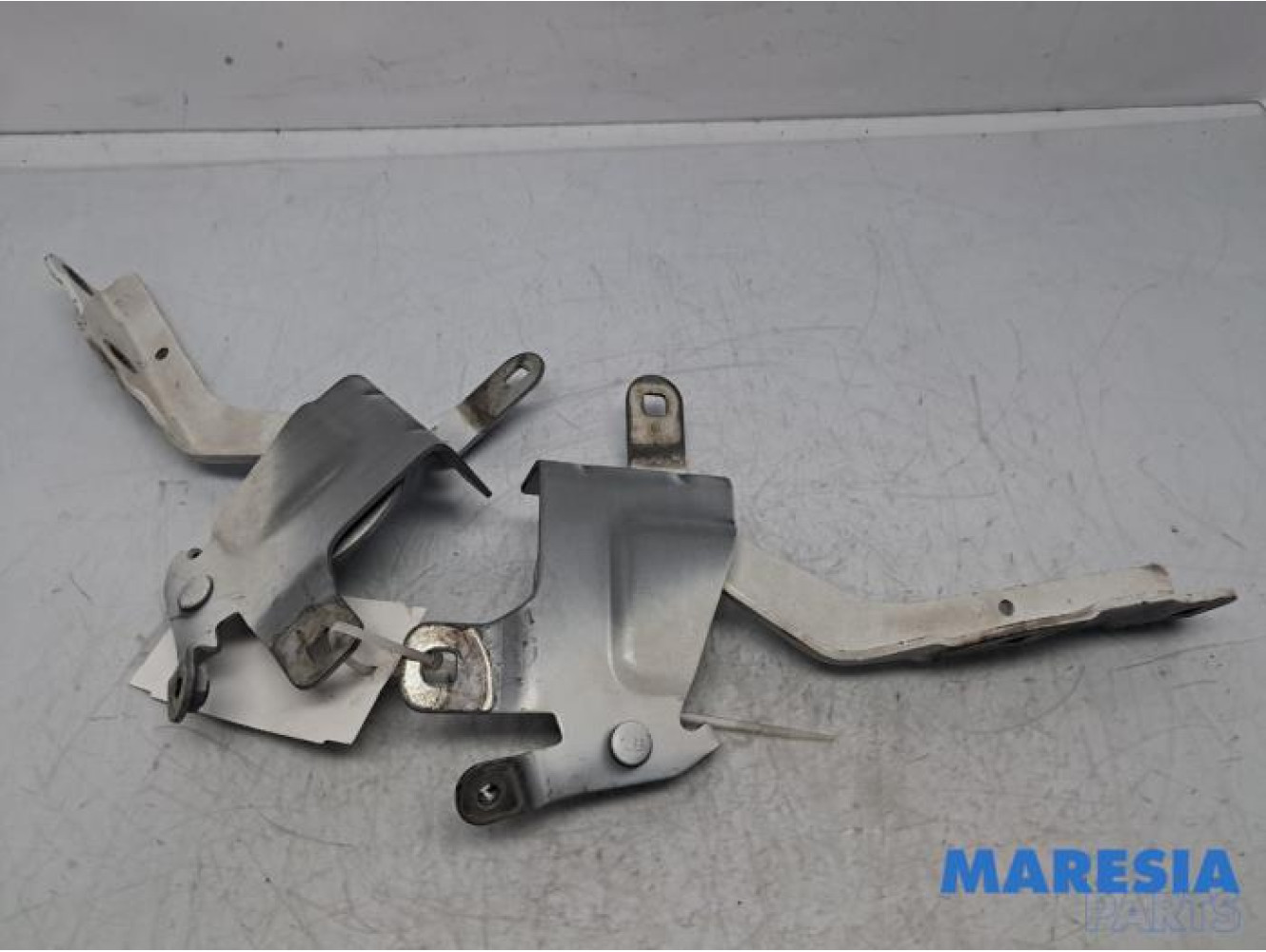 Renault - Clio - Bonnet Hinge