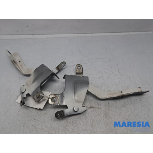 Renault - Clio - Bonnet Hinge