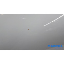 Renault - Clio - Portier 4Deurs rechts-voor