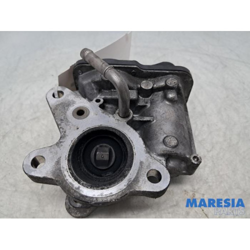 Renault - Master - EGR valve