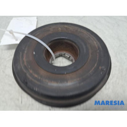 Renault - Master - Krukas Poelie