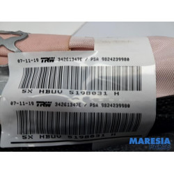 Opel - Grandland X - Roof curtain airbag, right