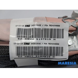 Opel - Grandland X - Roof curtain airbag, left