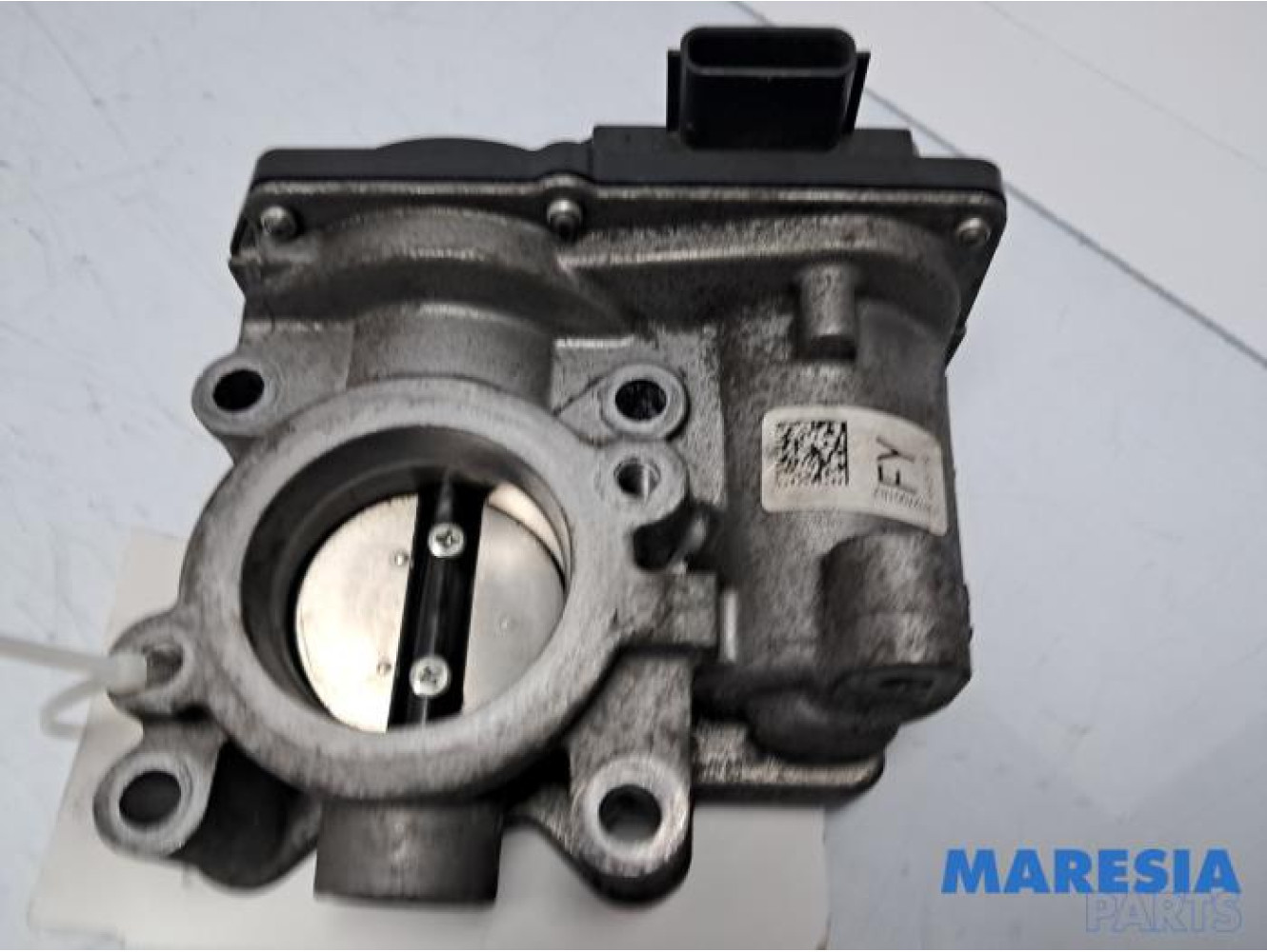 Renault - Megane - Gasklephuis