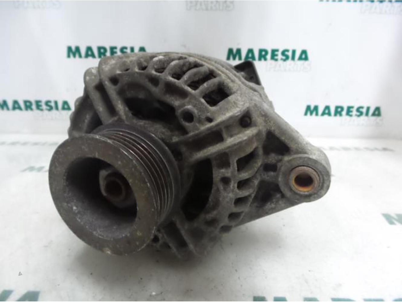 Fiat - Stilo - Dynamo