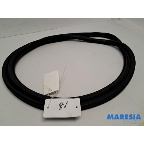 Opel - Grandland X - Front door seal 4-door, right