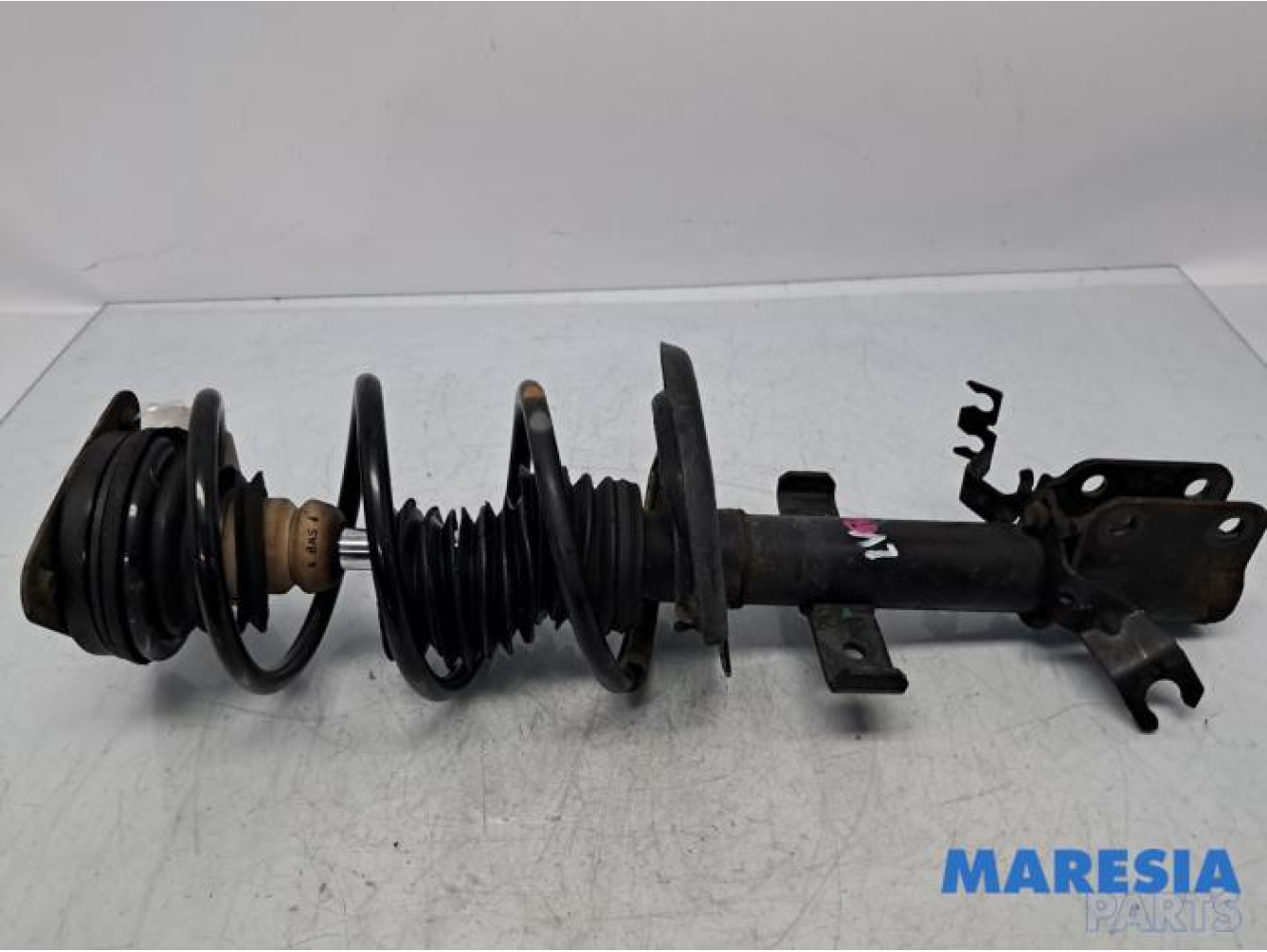 Renault - Clio - Front shock absorber rod, left