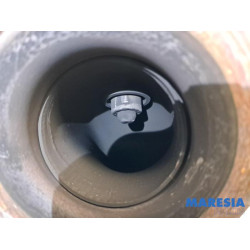 Renault - Clio - Katalysator