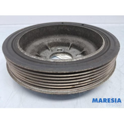 Citroen - C4 Cactus - Krukas Poelie