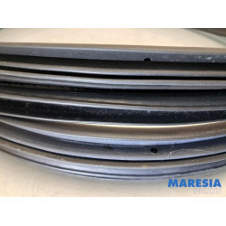 Renault - Clio - Front door seal 4-door, left