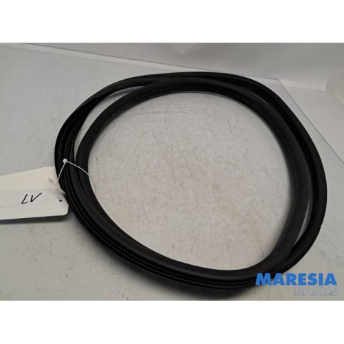 Renault - Clio - Front door seal 4-door, left