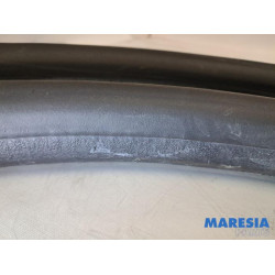 Renault - Clio - Front door seal 4-door, right