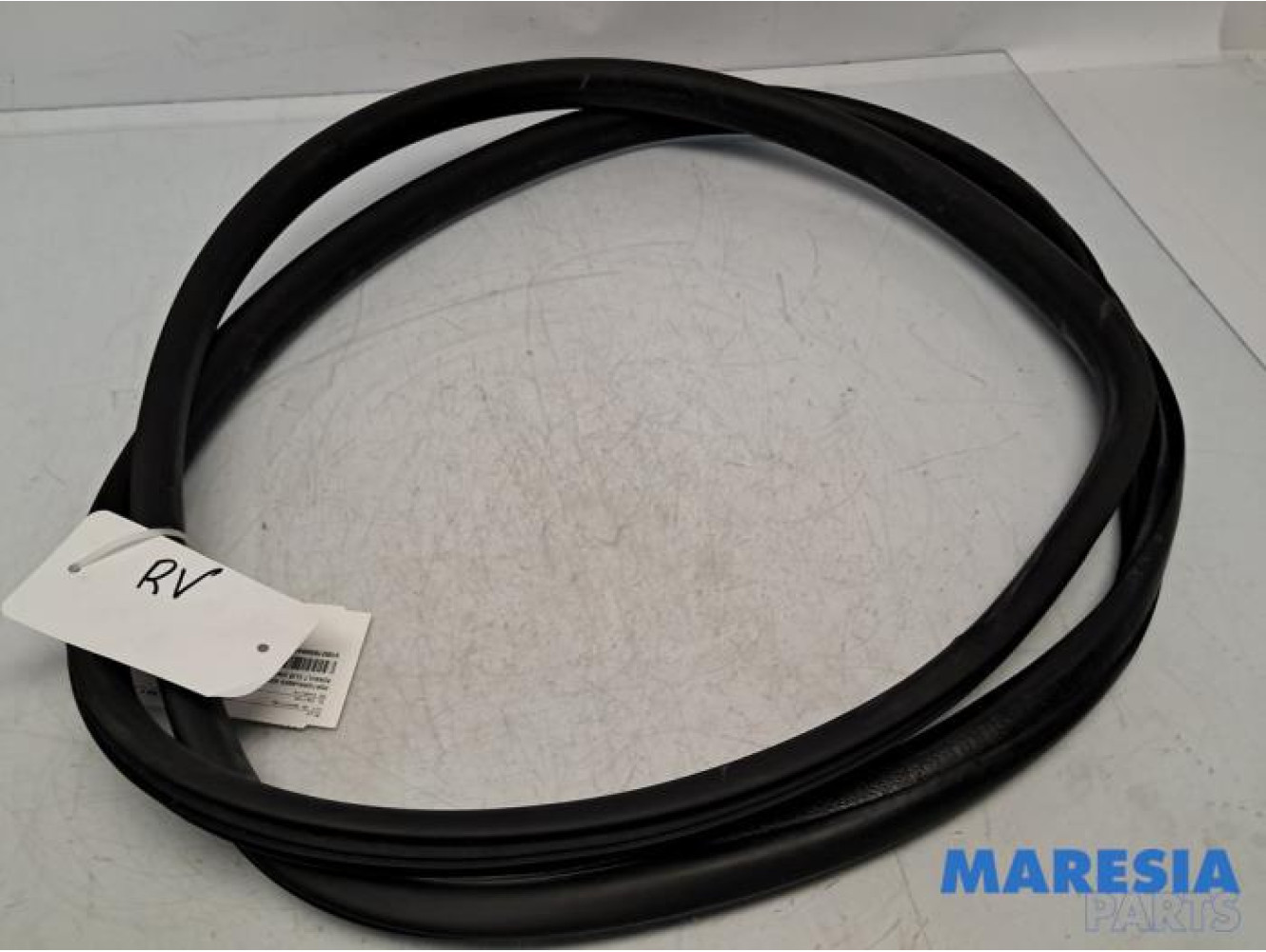 Renault - Clio - Front door seal 4-door, right