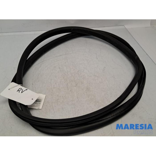 Renault - Clio - Front door seal 4-door, right