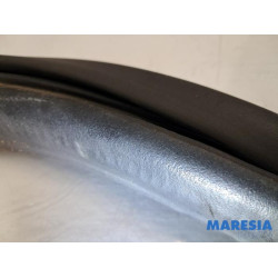 Renault - Clio - Rear door seal 4-door, left