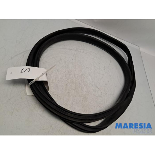 Renault - Clio - Rear door seal 4-door, left