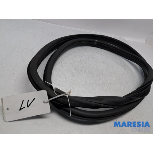 Alfa Romeo - Giulia - Front door seal 4-door, left