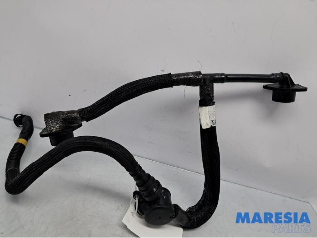 Alfa Romeo - Giulia - Carbon filter