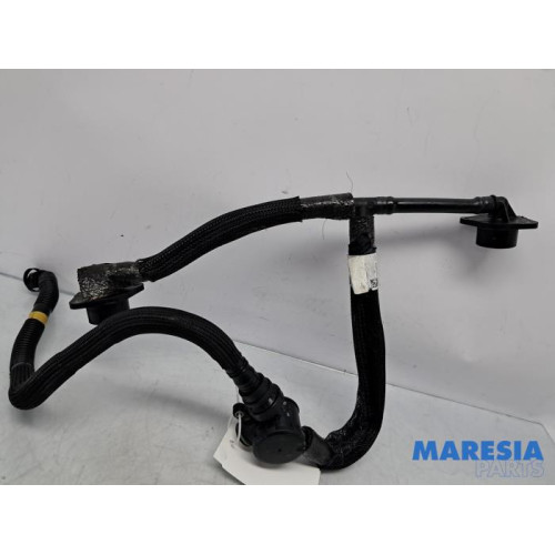 Alfa Romeo - Giulia - Koolstoffilter