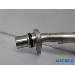 Alfa Romeo - Giulia - Lines (miscellaneous)