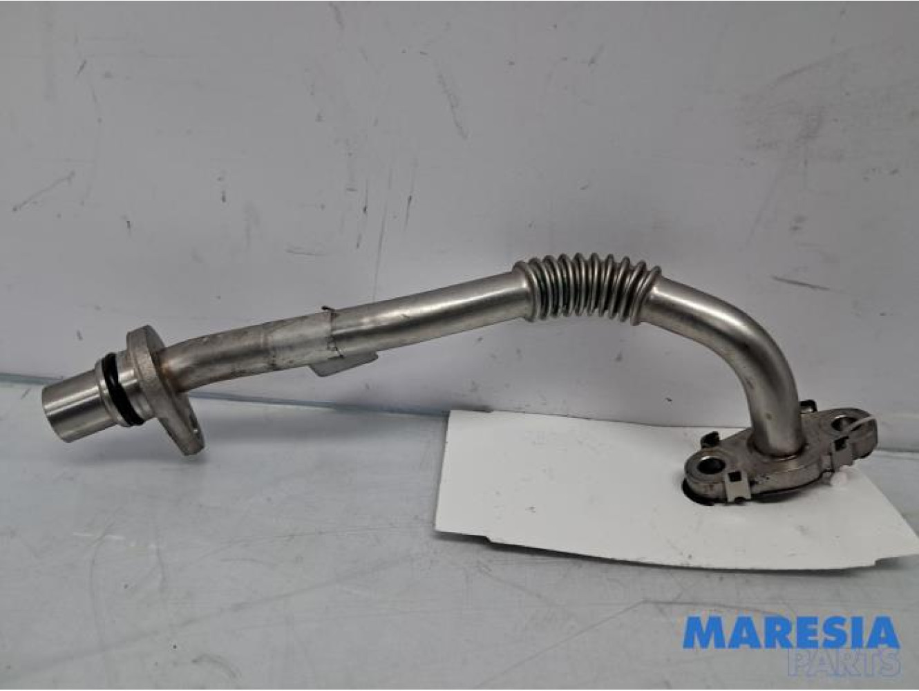 Alfa Romeo - Giulia - Lines (miscellaneous)