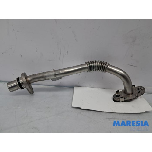 Alfa Romeo - Giulia - Lines (miscellaneous)